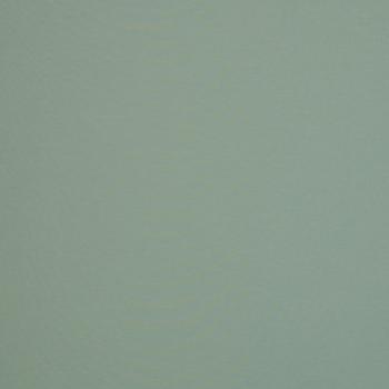 Preview: Swafing Vanessa Baumwoll Jersey Uni Altmint 262